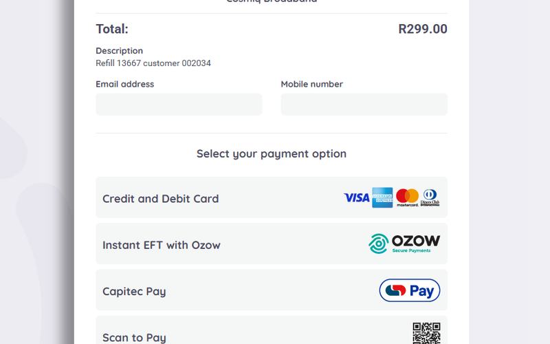 Netcash Pay Now — choose a method